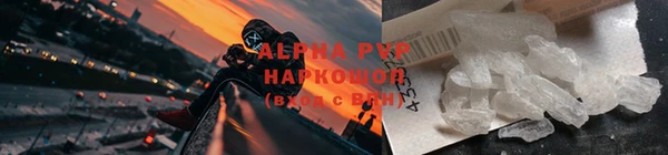 стаф Гусев