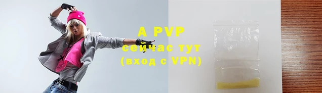 стаф Гусев