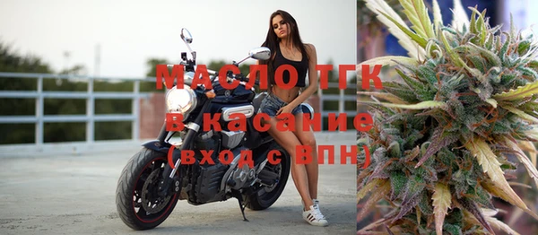 стаф Гусев