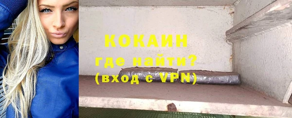 стаф Гусев