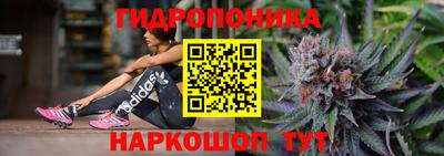прущая мука Гусев