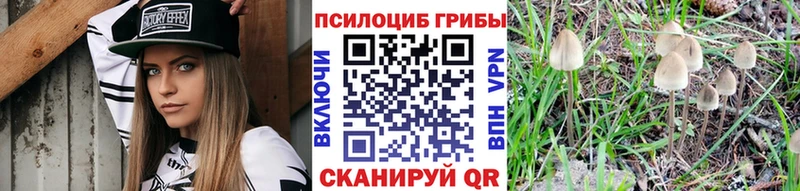Псилоцибиновые грибы мухоморы  Людиново 