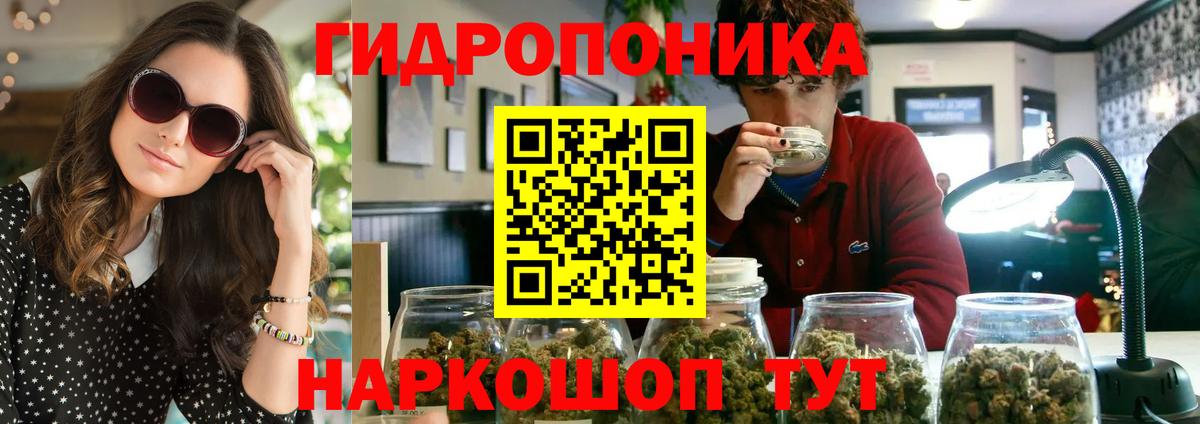 Конопля сатива  Бошки Шишки SATIVA & INDICA  Людиново  Вход с VPN  Бошки марихуана семена 